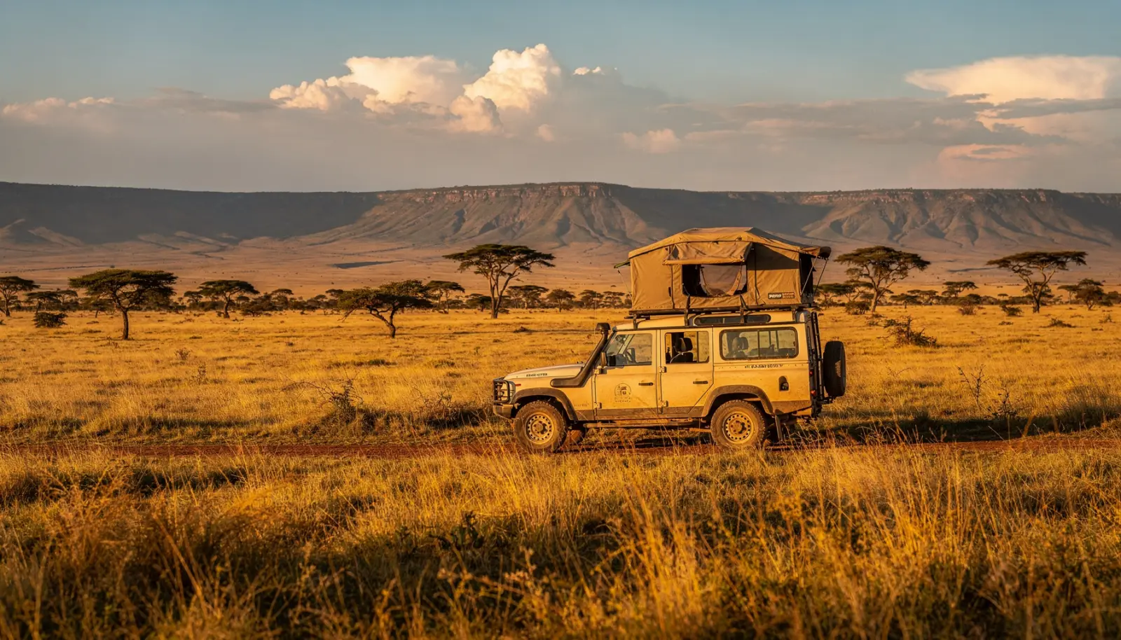 Vaste paysage de savane tanzanienne baigné de lumière dorée, sans présence humaine