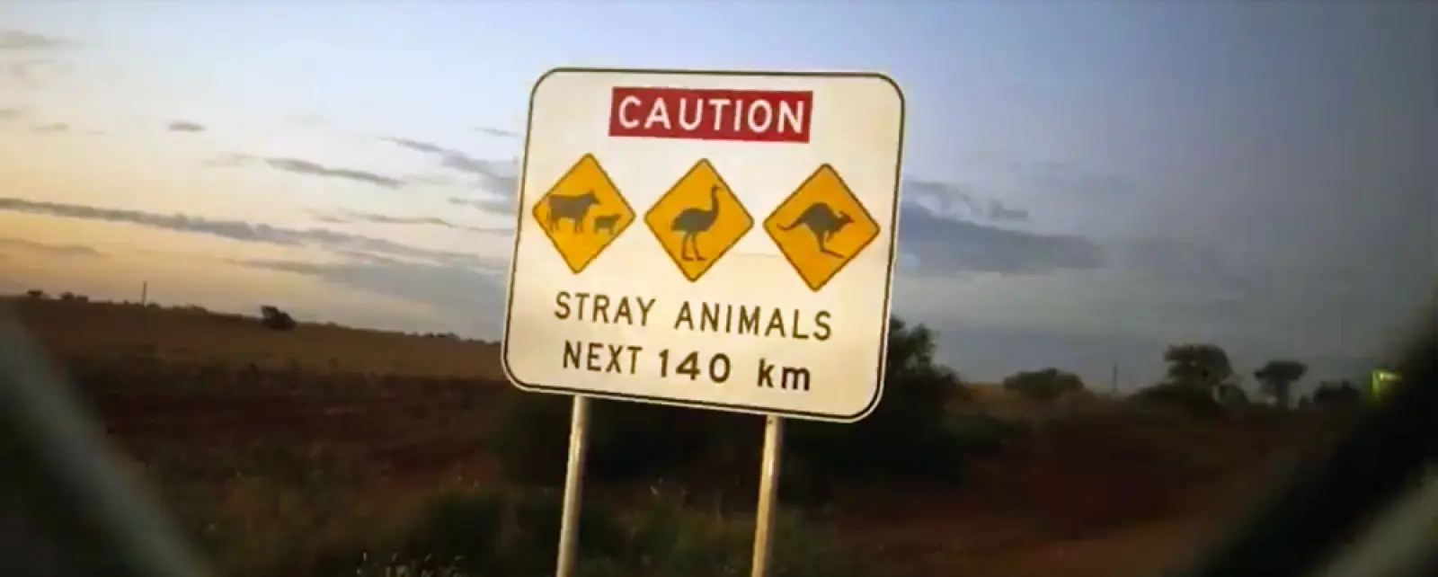 caution stray animals next 140 km